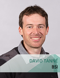 DAVID TANNÉ